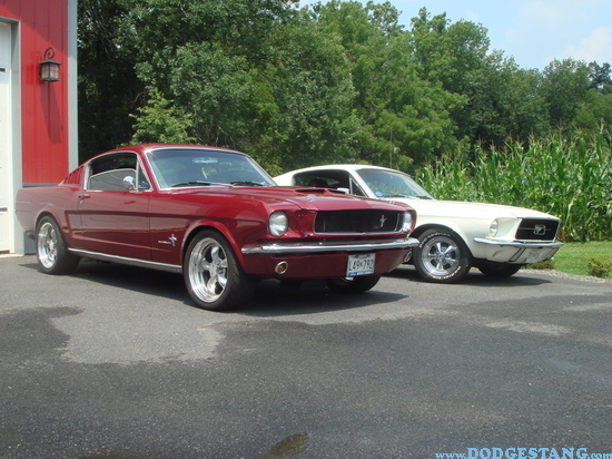 mini tubb'n a 1966 Mustang coupe - Ford Mustang Forum